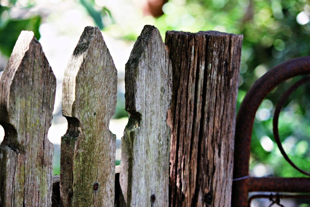 Best Fence Ideas for Vegetable Gardens