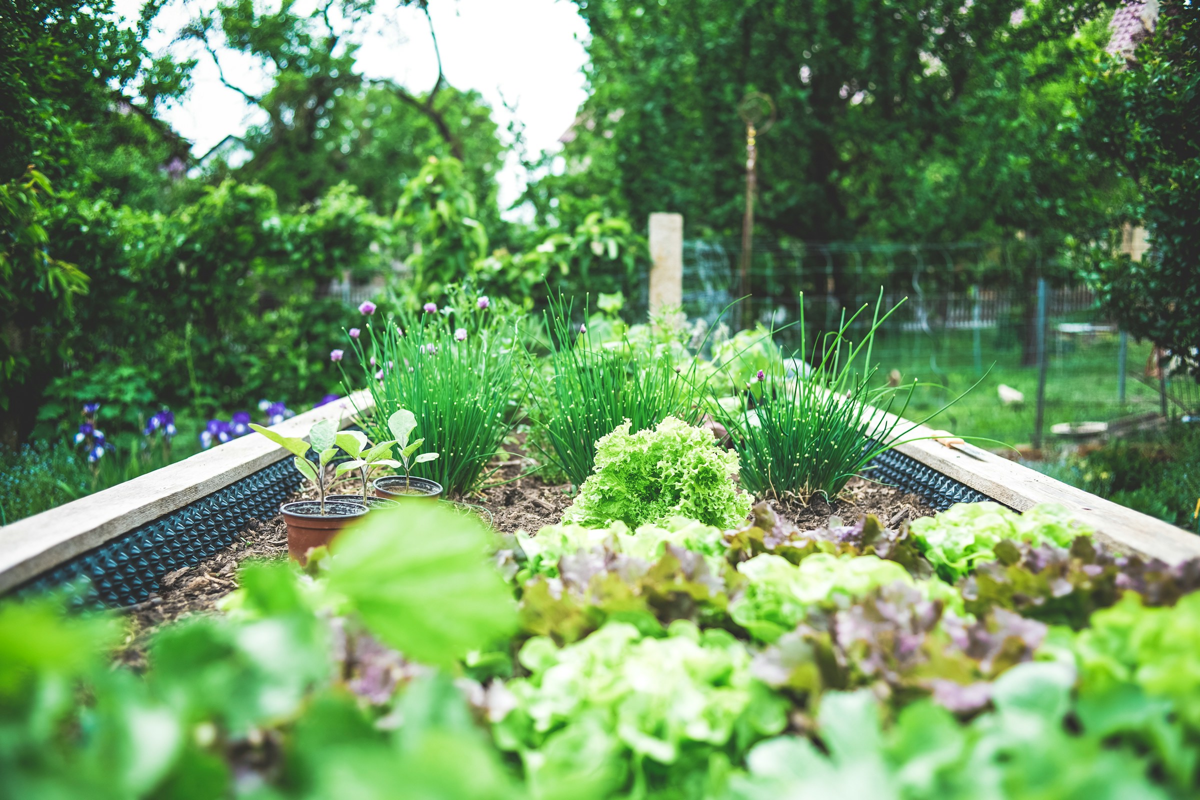 raised bed garden ideas