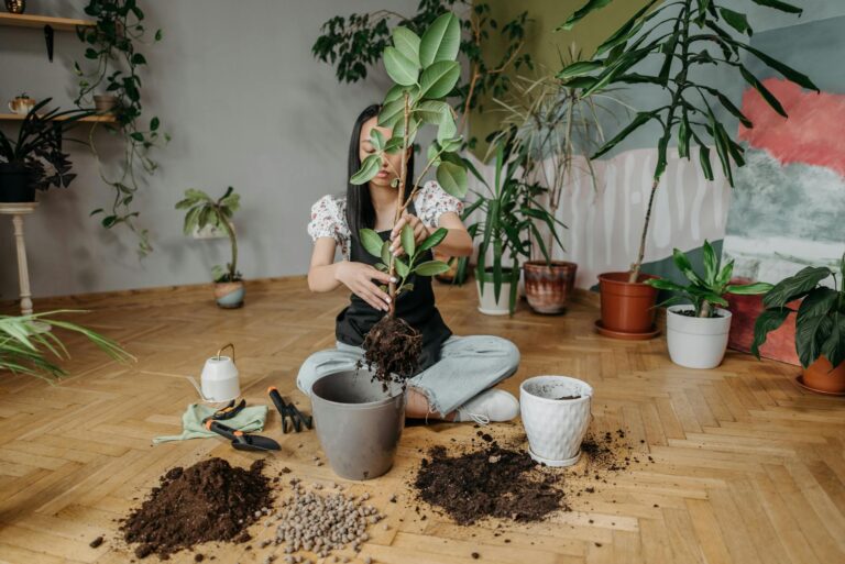 Best Way To Use Outdoor Soil for Indoor Plants