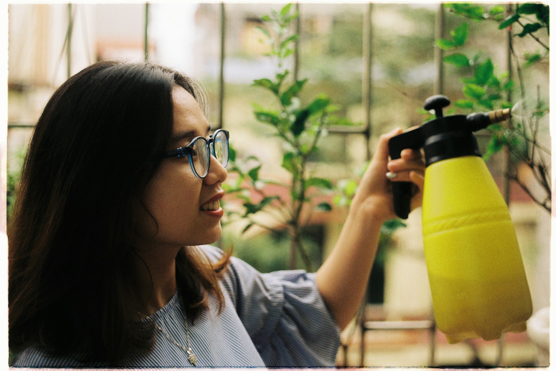 neem oil for indoor plants