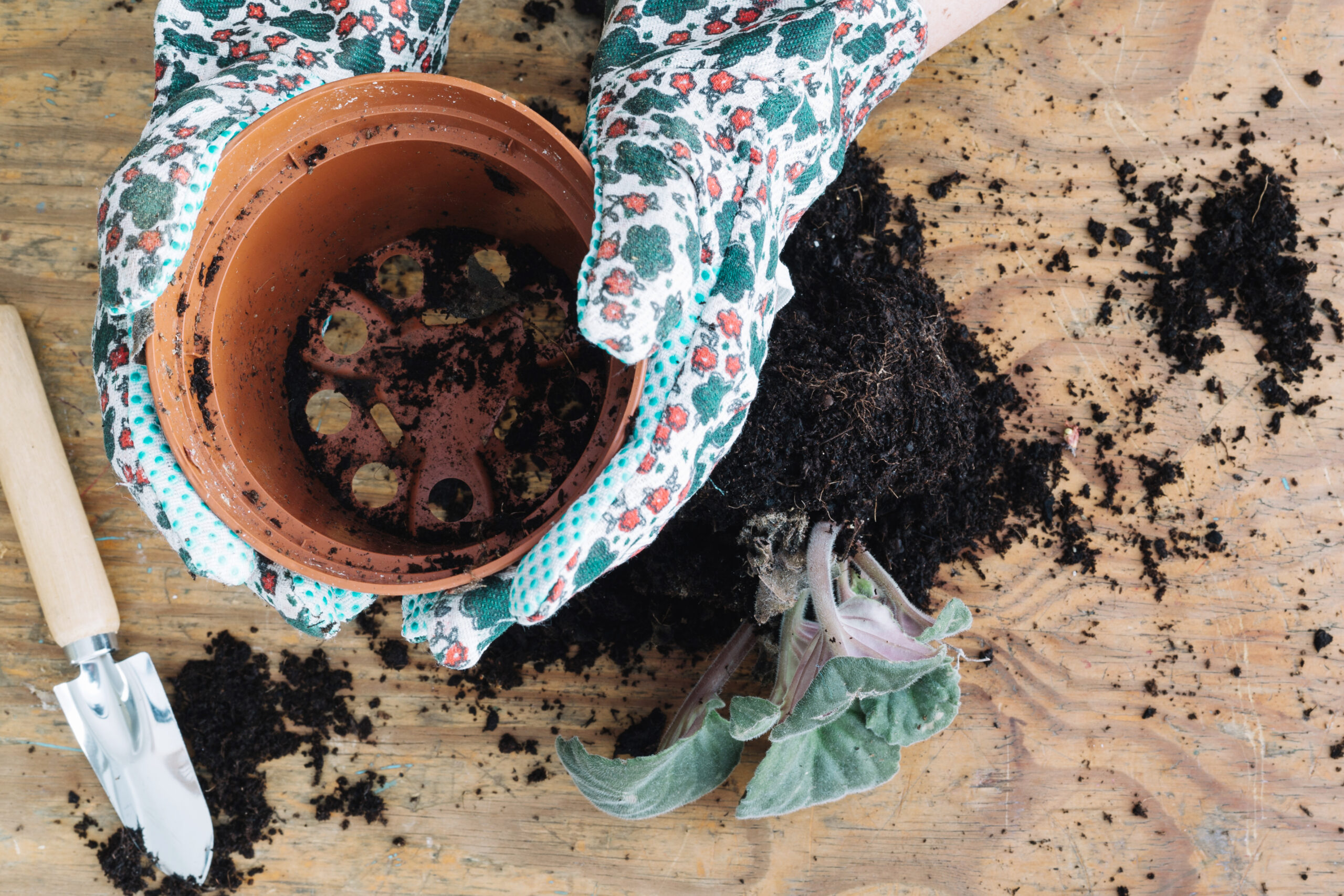 potting soil mix